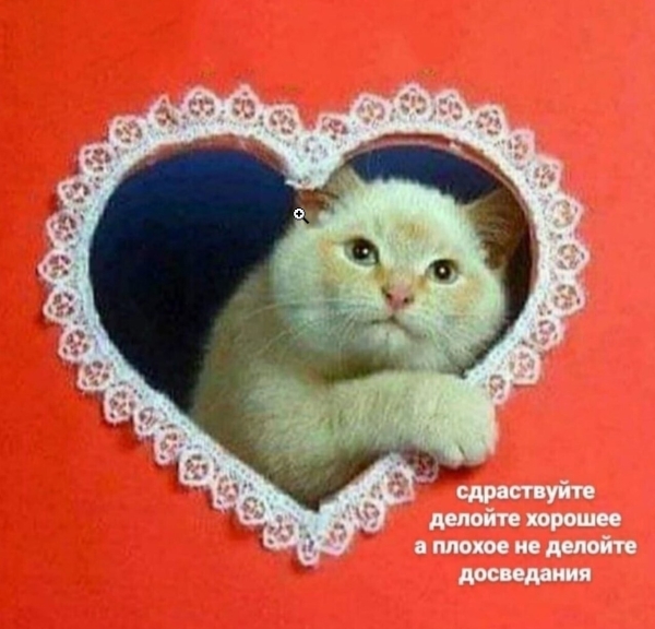 
                    Все делают это молча: «правда»™ о ссылках и ПФ для SEO            