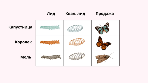 
                    Объясняю на гусеничках: как сделать сквозную аналитику понятной для предпринимателя и полезной для бизнеса            