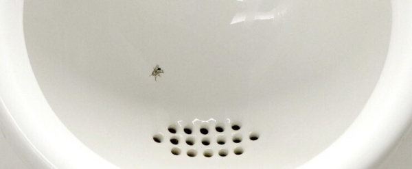 Как наш мозг принимает решения: когнитивные ошибки, исследования и большой маркетинговый факап + бонус в конце             
                    Как наш мозг принимает решения: когнитивные ошибки, исследования и большой маркетинговый факап + бонус в конце