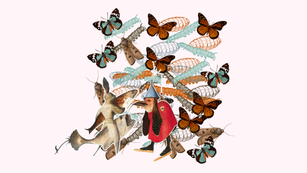 
                    Объясняю на гусеничках: как сделать сквозную аналитику понятной для предпринимателя и полезной для бизнеса            