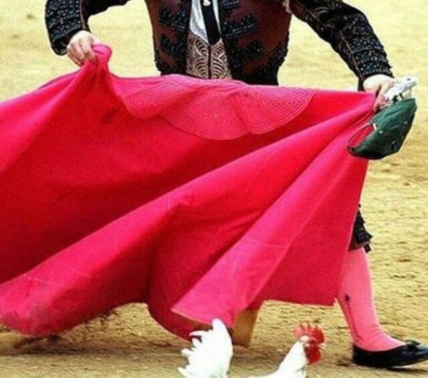 
                    «Мне нужны клиенты» или красная тряпка для пиарщика            