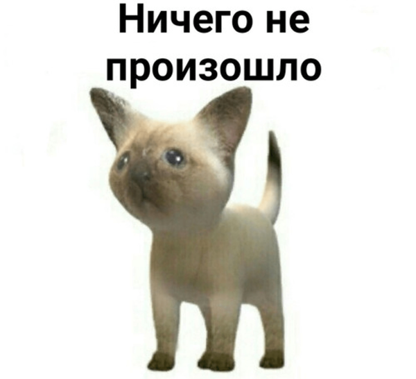 5 причин, почему вам может не понадобиться SEO
5 причин, почему вам может не понадобиться SEO