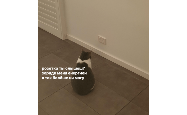 
                    Провальные стартапы техногигантов: как не повторить ошибки Google, Microsoft и Amazon            