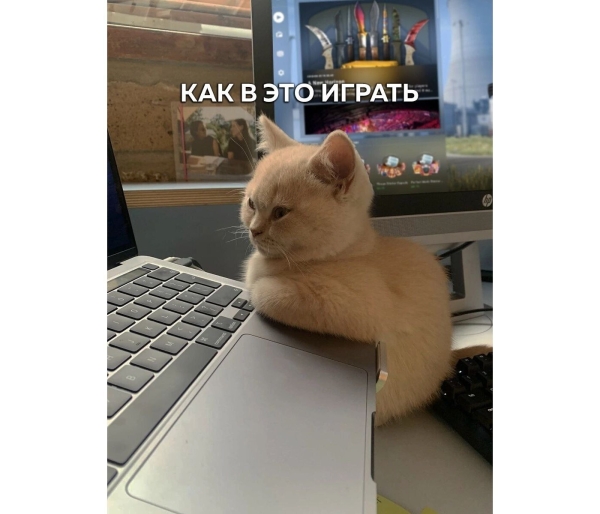 
                    Провальные стартапы техногигантов: как не повторить ошибки Google, Microsoft и Amazon            