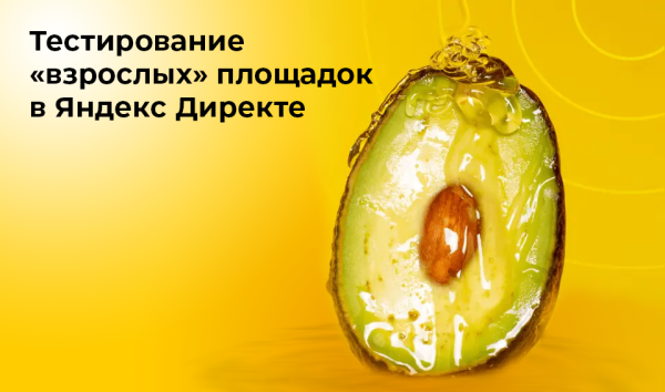 Как мы тестировали "взрослый" трафик из Яндекс Директа, чтобы снизить стоимость заявки
Как мы тестировали "взрослый" трафик из Яндекс Директа, чтобы снизить стоимость заявки
