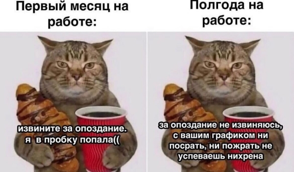 
                    Как оценить менеджера по продажам  за 1 минуту            