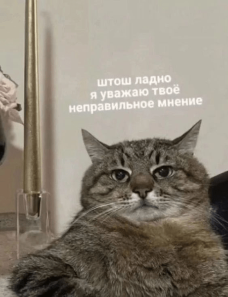 
                    Как выбрать себе таргетолога, который сделает результат в 23-24 году и сколько он будет стоить?            