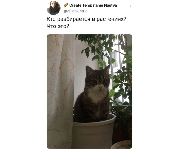 
                    Провальные стартапы техногигантов: как не повторить ошибки Google, Microsoft и Amazon            