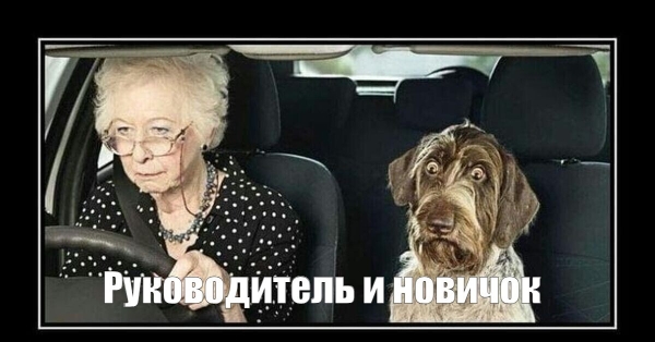 
                    Лень, опоздания и пофигизм: почему мы перестали нанимать в digital агентство ребят с опытом            