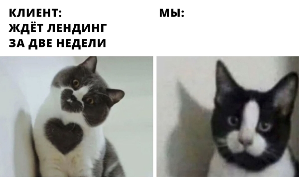 «Соня, где лендинг?» Недопоняли клиента и сорвали сроки. Какие две ошибки мы допустили и какие уроки вынесли             
                    «Соня, где лендинг?» Недопоняли клиента и сорвали сроки. Какие две ошибки мы допустили и какие уроки вынесли