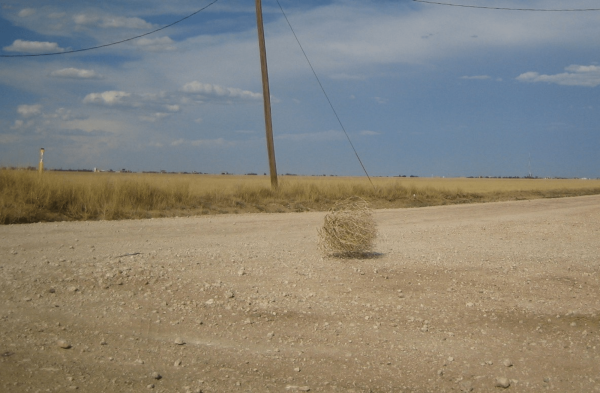 
                    Как найти клиентов из США на услугу диджитал-агентства?            