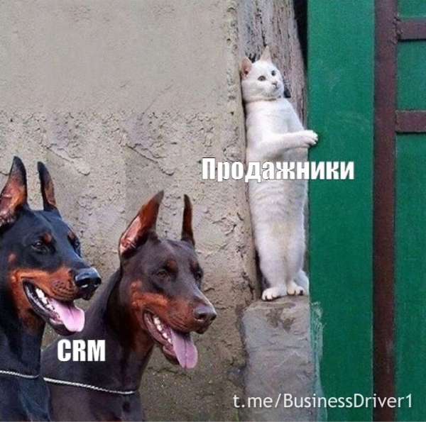 
                    Коллекция продающих анекдотов. Часть 2            