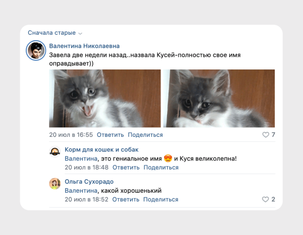 
                    Как мы запустили продажи кормов для животных и вышли на выручку больше 2,5 миллионов рублей в месяц            