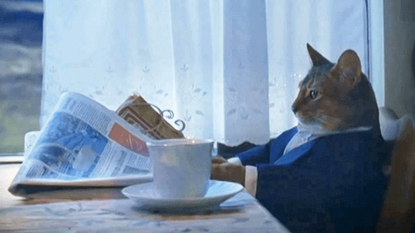 Взаимное притяжение: как за 6 шагов выстроить успешную коммуникацию с клиентом
Взаимное притяжение: как за 6 шагов выстроить успешную коммуникацию с клиентом