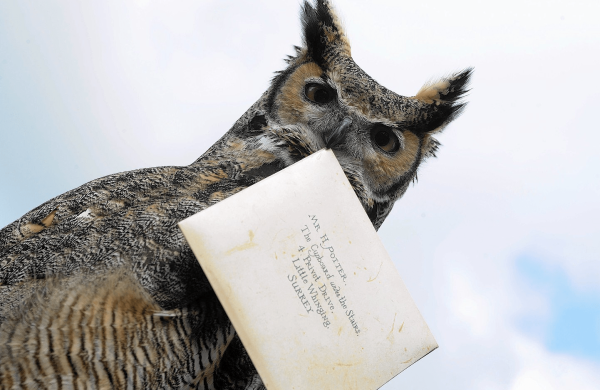 Взаимное притяжение: как за 6 шагов выстроить успешную коммуникацию с клиентом
Взаимное притяжение: как за 6 шагов выстроить успешную коммуникацию с клиентом