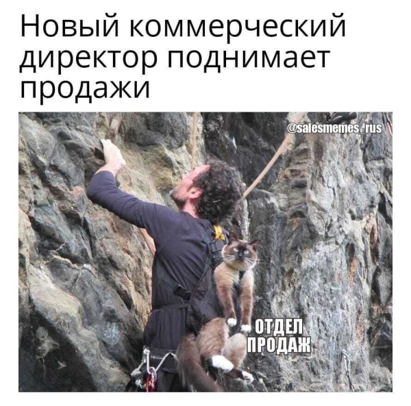 
                    Коллекция продающих анекдотов. Часть 2            