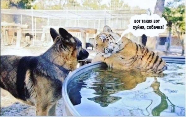 
                    Как привлекать фанов на OnlyFans и Fancy с помощью таргетированной рекламы в InstagramFacebook. Кейс - инструкция            