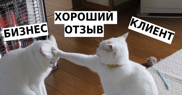 
                    30 способов получить положительный отзыв от своих клиентов. Большой чек-лист для предпринимателей            