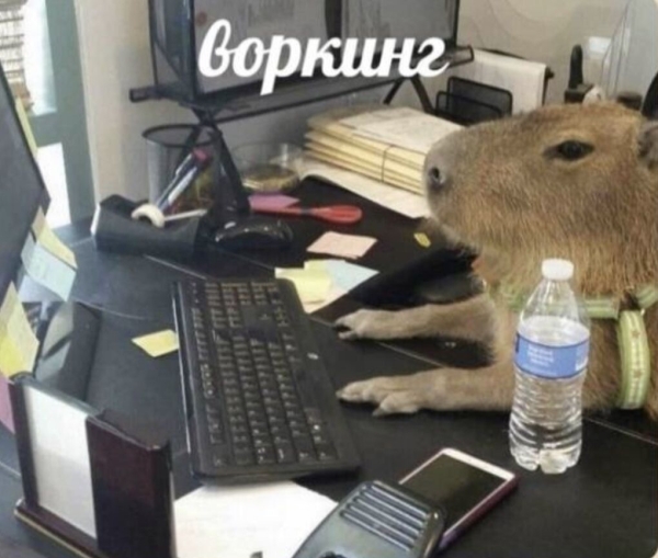 
                    Почему чаще всего выгорают креативщики?            