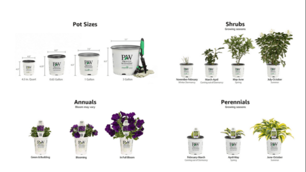 Cтратегия Amazon: 5 disrupt-отраслей для Amazon и 7 рынков для будущего развития             
                    Cтратегия Amazon: 5 disrupt-отраслей для Amazon и 7 рынков для будущего развития