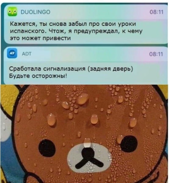 
                    «Привет, спишь?». История мобильных push-уведомлений            