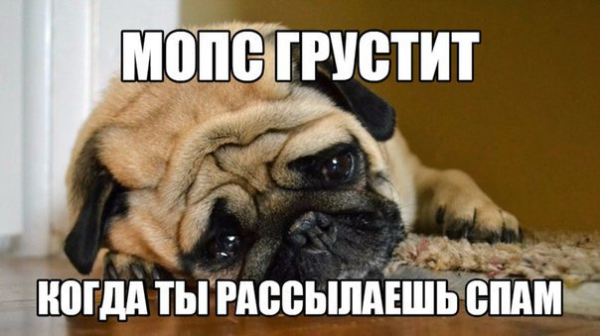 
                    Как продвигаться в TenChat в 2023 году: 8 способов и 2 связки            