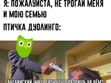 
                    «Привет, спишь?». История мобильных push-уведомлений            