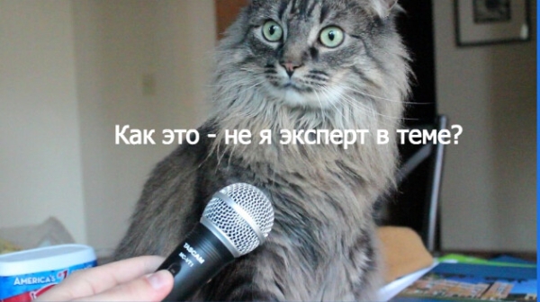 
                    Почему кейсы работают эффективнее рекламы. Пошаговая инструкция “Как написать продающий кейс”            