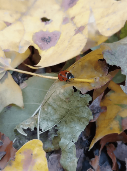 Рассказываю, почему эти 5 статей минувшей недели попали в ТОП на vc.ru, а твоя ― нет
Рассказываю, почему эти 5 статей минувшей недели попали в ТОП на vc.ru, а твоя ― нет