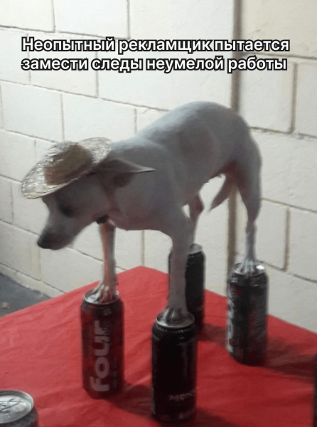 
                    «Можете уже прислать отчёт, а не кидаться скринами?»: почему важна прозрачность — кейс типографии в Яндекс Директе            