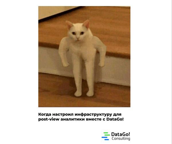 
                    Какие данные необходимо собирать для продвинутой post-view аналитики? - опыт DataGo! Consulting            