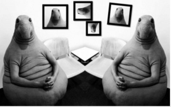 14 МИЛЛИОНОВ РУБЛЕЙ ЗА 1,5 МЕСЯЦА для Института психологии
14 МИЛЛИОНОВ РУБЛЕЙ ЗА 1,5 МЕСЯЦА для Института психологии