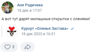 
                    Новогодний маркетинг. Как мы привели клиентов в восторг, потратив 0 рублей            