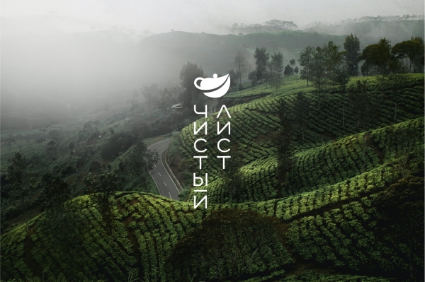 
                    Собрали на Тильде атмосферный магазин элитного китайского чая — а он принес заказчику 9 млн выручки за полгода            