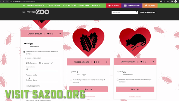 
                    Диван из хлеба, валентинки в виде тараканов и хайп на конкурентах — как бренды делают кринж-рекламу            