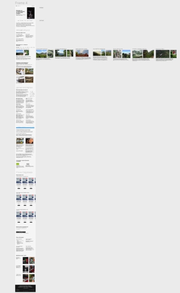 Собрали на Тильде атмосферный магазин элитного китайского чая, и за полгода он принес заказчику 9 млн выручки
Собрали на Тильде атмосферный магазин элитного китайского чая, и за полгода он принес заказчику 9 млн выручки