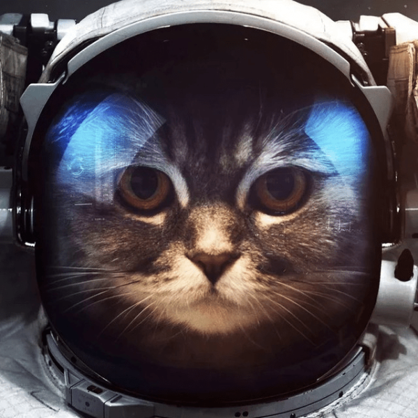 
                    SEO чаты в Телеграмме: топ 7 сообществ для SEO-специалистов            