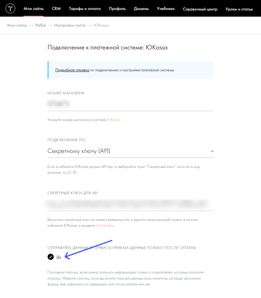 Большой гайд: как запустить свой курс на Тильде
Большой гайд: как запустить свой курс на Тильде