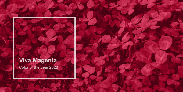 
                    Изучают детскую анимацию, картины и тренды в TikTok: как институт Pantone выбирает «цвет года» и зачем 

    
        Статьи редакции
            

            