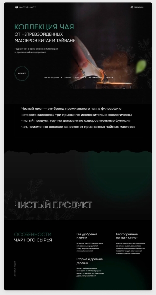 Собрали на Тильде атмосферный магазин элитного китайского чая, и за полгода он принес заказчику 9 млн выручки
Собрали на Тильде атмосферный магазин элитного китайского чая, и за полгода он принес заказчику 9 млн выручки