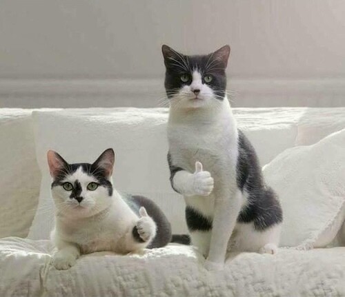 «Холодные рассылки в B2B — бред». Пока ты думаешь, что это не работает, Salesforce, Zoom и другие зарабатывают миллионы
«Холодные рассылки в B2B — бред». Пока ты думаешь, что это не работает, Salesforce, Zoom и другие зарабатывают миллионы