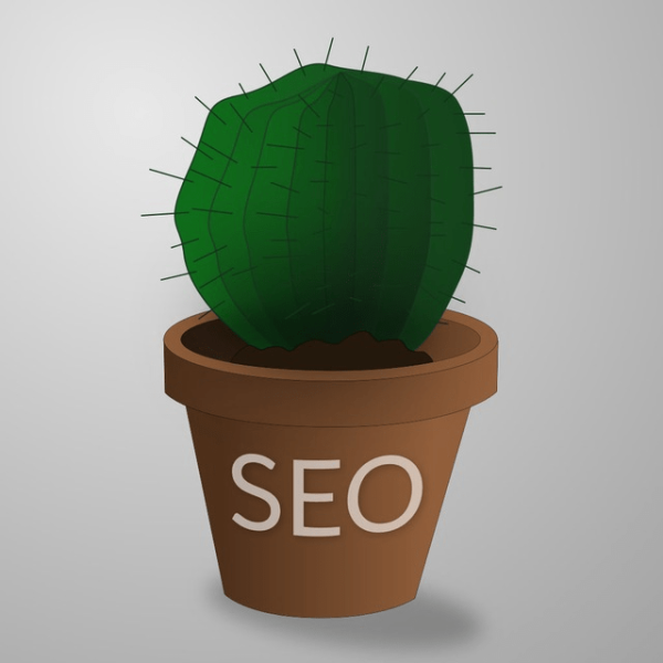 
                    SEO чаты в Телеграмме: топ 7 сообществ для SEO-специалистов            