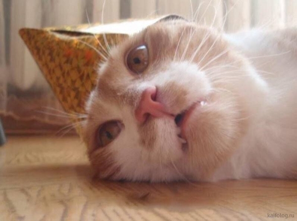 Новогодний корпоратив — простое развлечение или стратегия укрепления командного духа?
Новогодний корпоратив — простое развлечение или стратегия укрепления командного духа?