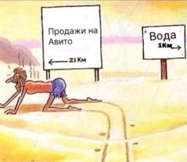 
                    Бизнес с VIN-номерами взлетел на Авито: как клиент Vitamin.tools настроил рекламу и заработал почти 1 000 000 за 4 месяц            