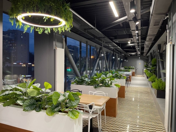 Как продвинуть крупный фудмолл в Москве? Делимся успешным кейсом «Гастрохолл Кантемировский»
Как продвинуть крупный фудмолл в Москве? Делимся успешным кейсом «Гастрохолл Кантемировский»