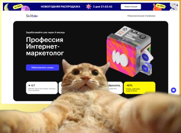 Онлайн-курсы по интернет-маркетингу для новичков в 2024 году             
                    Онлайн-курсы по интернет-маркетингу для новичков в 2024 году