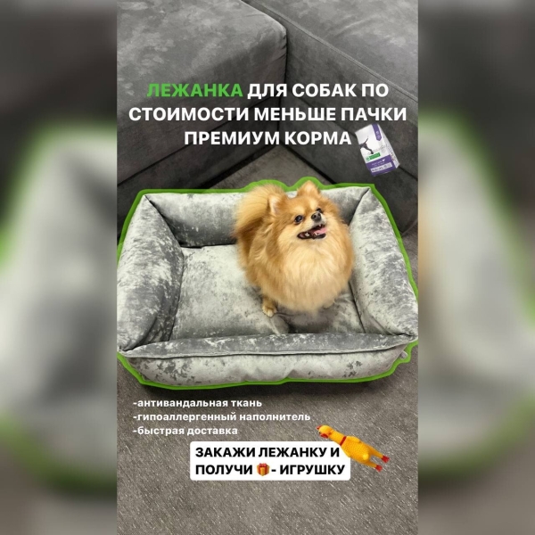 5 техник, которые увеличат конверсию в продажи через диалоги в Instagram  (товарный бизнес)             
                    5 техник, которые увеличат конверсию в продажи через диалоги в Instagram  (товарный бизнес)