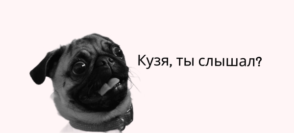 Посевы в Телеграм. Кейс закупа в Телеграм для эксперта по автоворонкам
Посевы в Телеграм. Кейс закупа в Телеграм для эксперта по автоворонкам