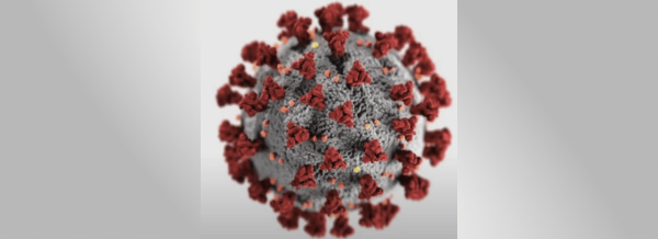 Формула "заразительности" или не нужно быть большим, чтобы победить
Формула "заразительности" или не нужно быть большим, чтобы победить