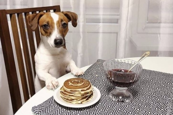 
                    Почему мемы вредят работе с клиентами: пять причин            